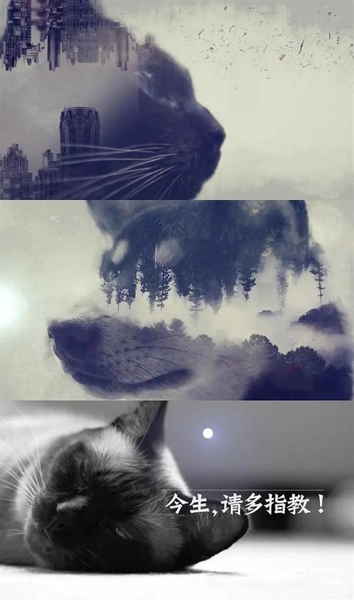 今生，请多指教 第一季