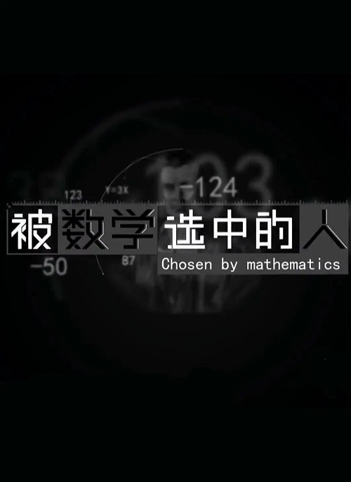 被数学选中的人